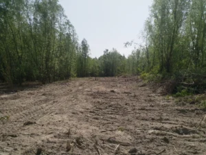 Nivelacija i ravnanje